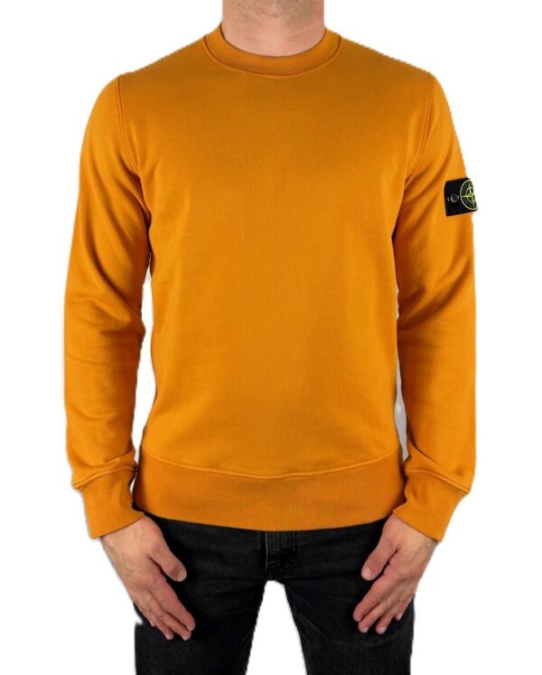 Толстовка Stone Island L1S156100060S0051 - фото 2