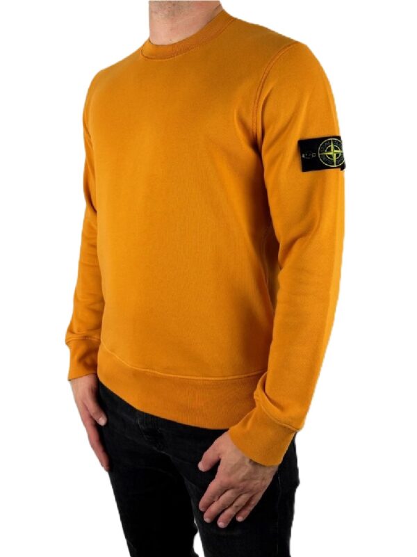 Толстовка Stone Island L1S156100060S0051 - фото 1